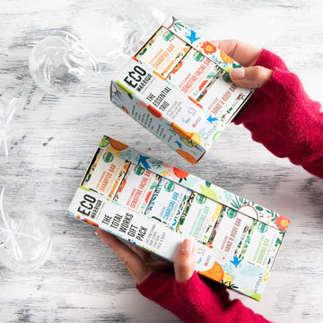 Sleigh the Eco Way