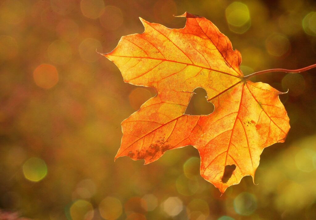 3 Little Ways to Lift Your Mood this Autumn_LIttleSoapCompany.co.uk